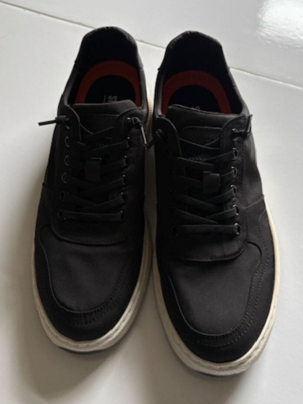 NWT Steve Madden Nereo sneakers